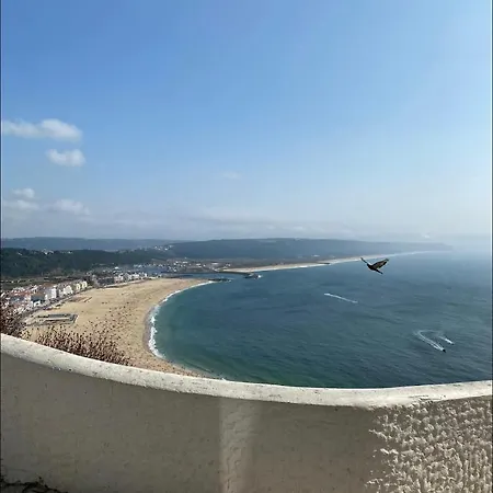 Ddm - O Paraiso Do Sitio Da Nazare