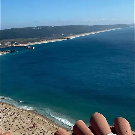 Ddm - O Paraiso Do Sitio Da *