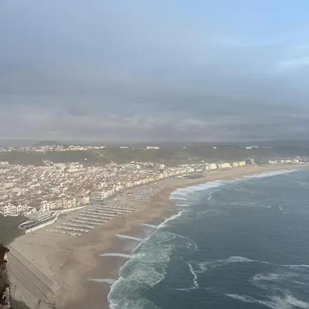 Ddm - O Paraíso Do Sítio Da