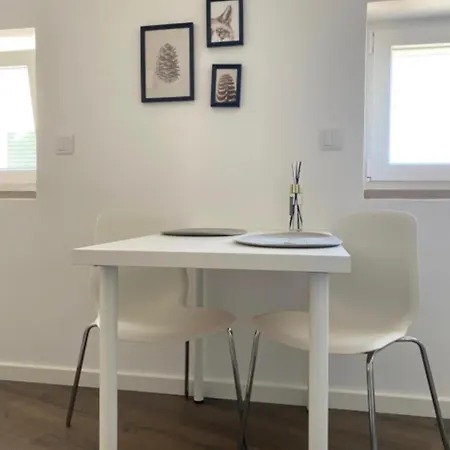 Ddm - O Paraíso Do Sítio Da