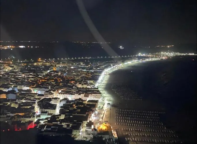 Ddm - O Paraiso Do Sitio Da نازاريه