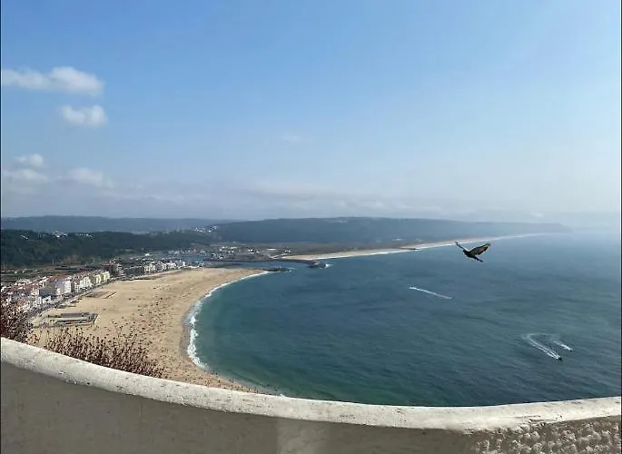 Ddm - O Paraiso Do Sitio Da نازاريه