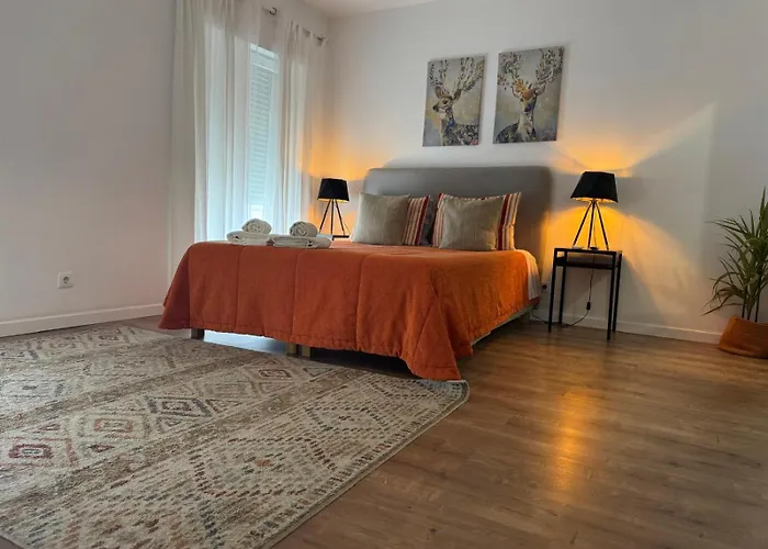 Ddm - O Paraiso Do Sitio Da نازاريه